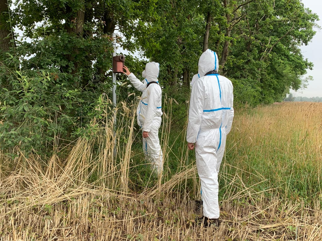 Violetta Färber und Jorro Hasler von der Hochschule-Anhalt inspizieren einen Brutkasten.
