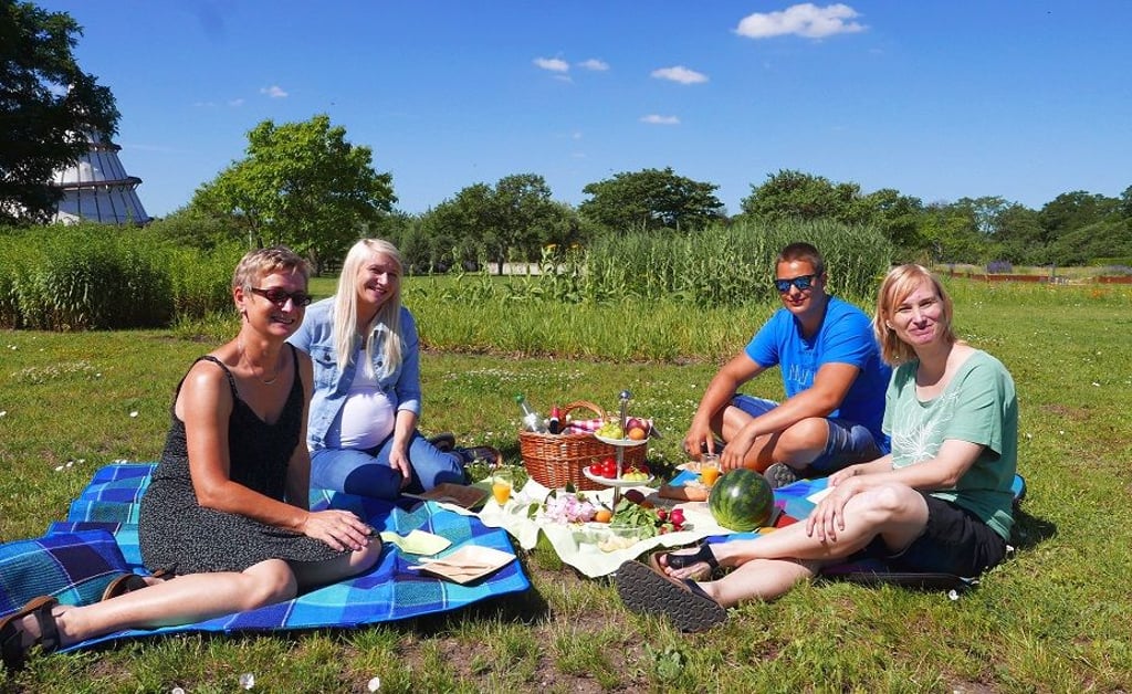 Picknick im Elbauenpark