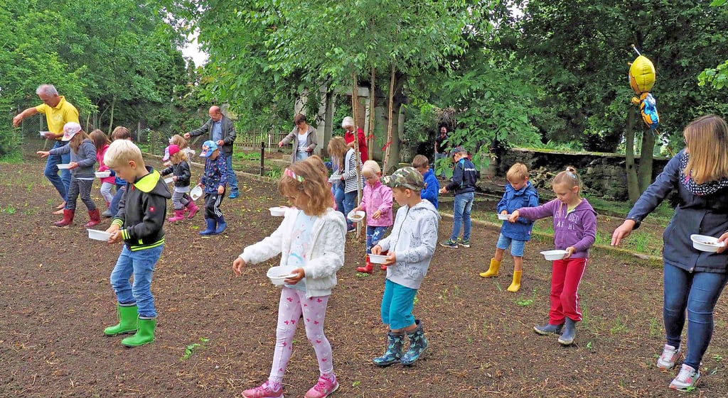 Unterstützung aus dem Kindergarten bekamen die Freiwilligen bei der Neugestaltung des Areals. Neben der Grab- und Gedenkstätte soll eine Blühwiese wachsen, deren erste Samen ausgestreut wurden.