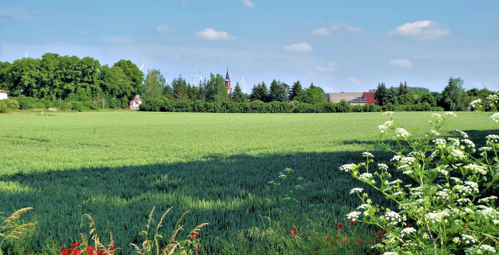 Blick zur ehemaligen Burg Bünau.