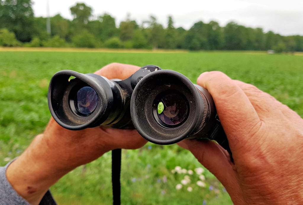 Blick durch das Fernglas in Richtung Drömling. Der war in der Lokalen Aktionsgruppe Rund um den Drömling bisher Aushängeschild und Gemeinsamkeit und soll das auch in neuer Konstellation, ohne die Stadt Klötze, bleiben.