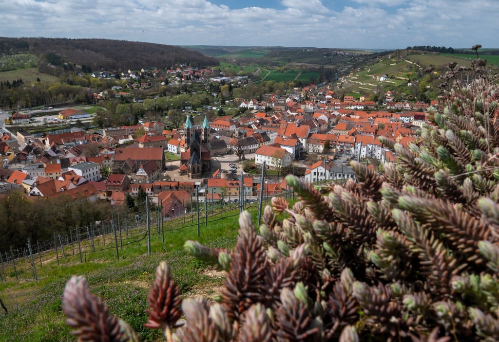 Idyllisch im Tal der Unstrut liegt die Stadt Freyburg mit ihrer markanten Stadtkirche St. Marien.