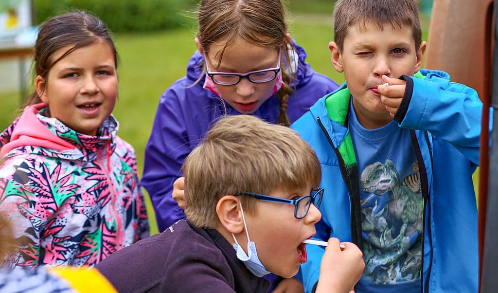 Lecker, ist das Urteil der Kinder nach der Honigverkostung.