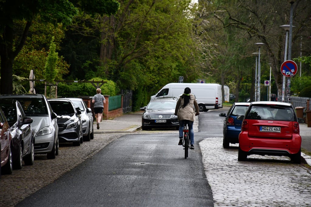 Der Asphaltstreifen für Radfahrer in der östlichen Wilhelm-Külz-Straße in Magdeburg-Stadtfeld.
