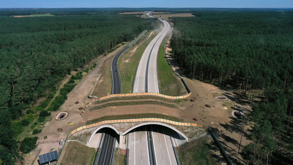 Das jüngste Teilstück der Autobahn 14 und eine Wildtier-Überführung zwischen den Anschlussstellen Colbitz und Tangerhütte wurde 2020 für den Verkehr freigegeben.