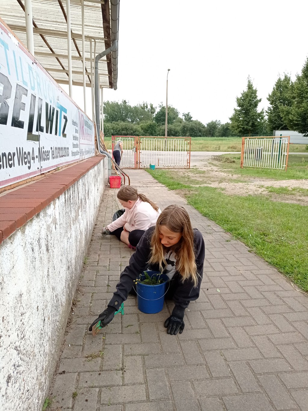 Unkraut zupfen auf den Wegen am Vereinsheim auf dem Sportplatz Schermen.