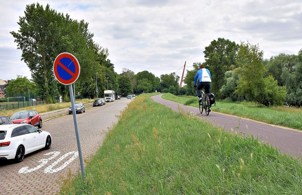 Auf der Deichkrone entlang der Büchnerstraße in Cracau wird es bei Gegenverkehr schnell ziemlich eng. 
