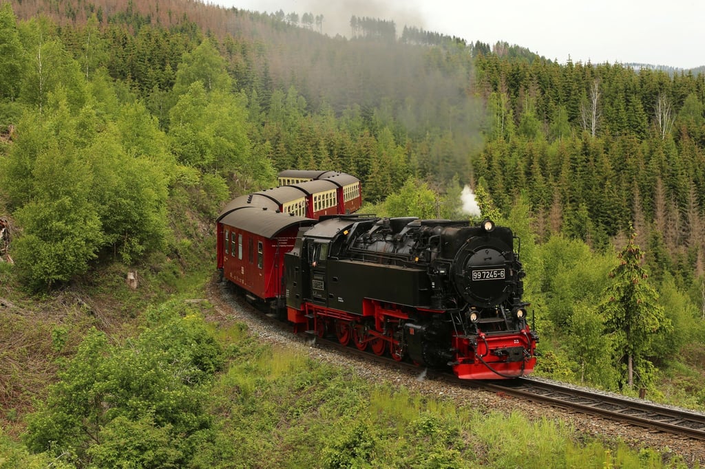 Die Dampfloks der Harzer Schmalspurbahnen sind bei Groß und Klein beliebt. Schon bald soll die neue Werkstatt in Wernigerode Besucher anlocken.