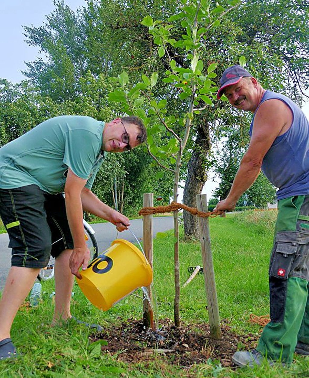 Der letzte Apfelbaum ist gepflanzt.