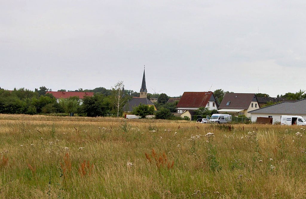 Für den Osten Groß Ammenslebens zwischen der Straße Am Kanal und der Tulpenbreite weist der Plan eine Eigenheimsiedlung aus.