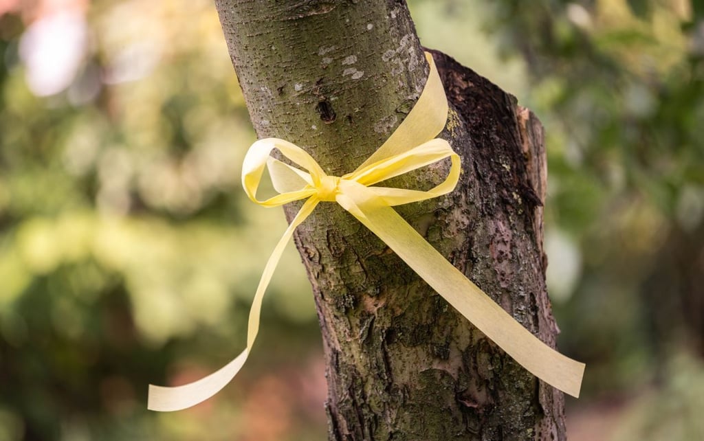 Das „Gelbe Band“ an einem Apfelbaum. Das Band am Baum soll darauf aufmerksam machen, dass das Obst von allen gepflückt und verspeist werden darf.