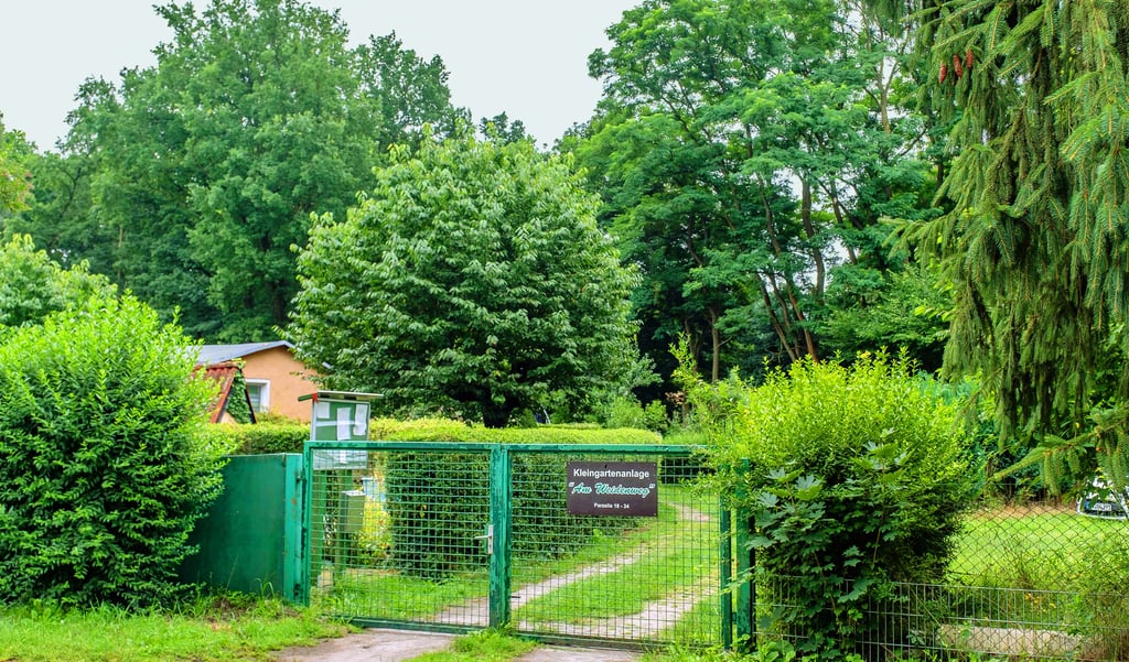 Kein Zweifel, ein kleines Paradies. Für eine junge Wittenbergerin bleibt das Tor verschlossen. Der Verein möchte sie nicht aufnehmen.