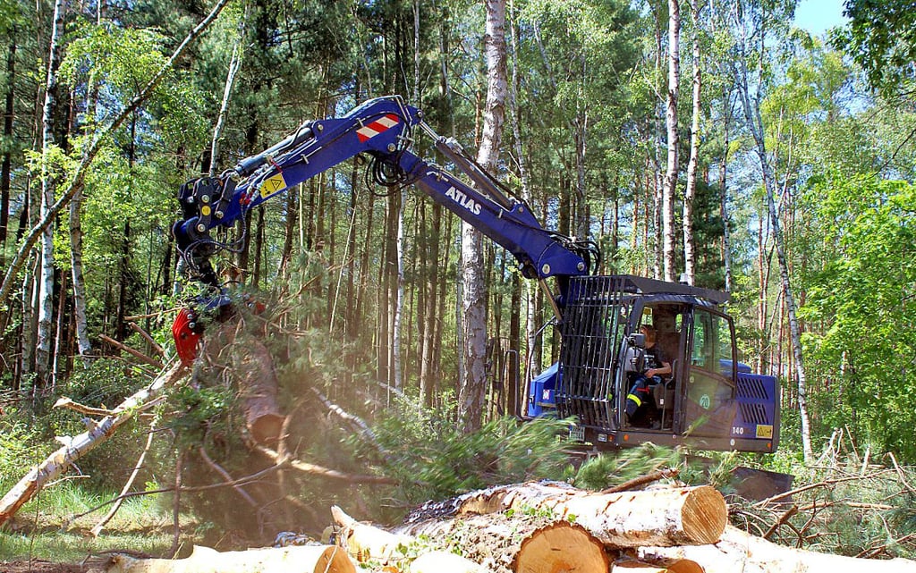 Im Juni 2020 in Plessa südlich vom Spreewald: Das THW half beim Löschen eines Waldbrandes.
