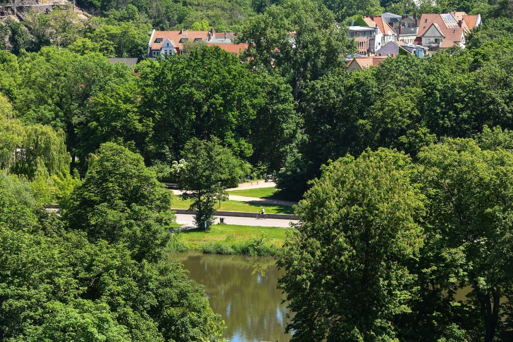 Sonnenplätze in Halle: Blick auf das Riveufer.