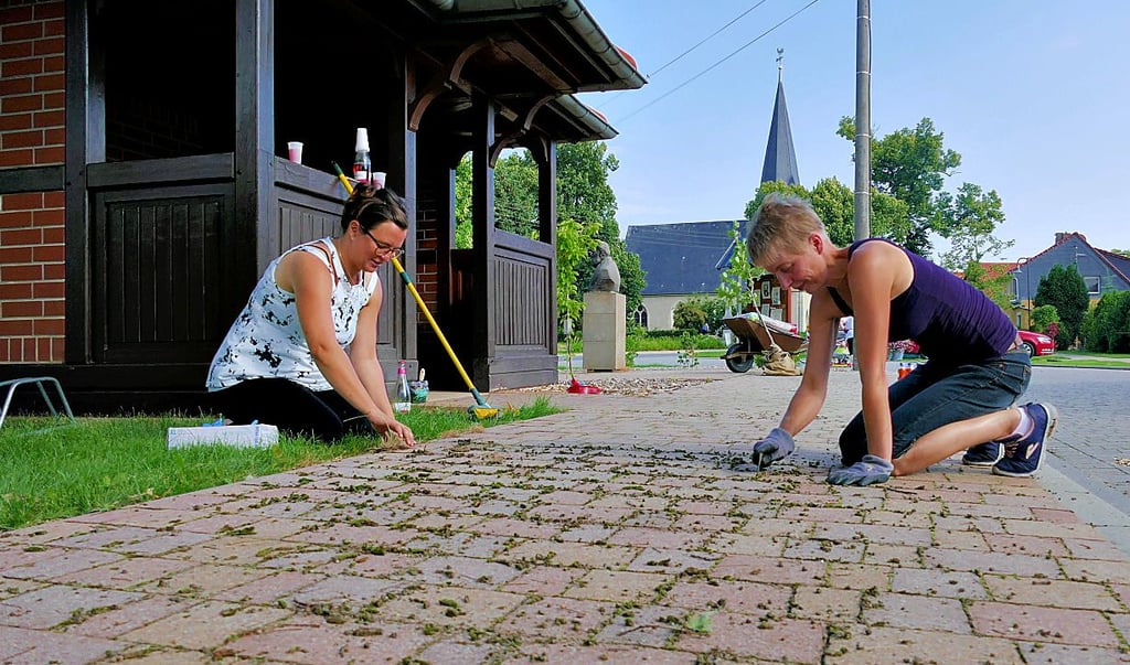 Nancy Nowack und Kathleen Pradel kratzen am Moos.