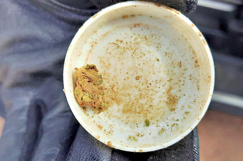 Diese geringe Menge Cannabis wurde bei einem Lkw-Fahrer gefunden.