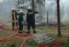Feuerwehren löschen ein Bodenlauffeuer in der Nähe von Mützel.