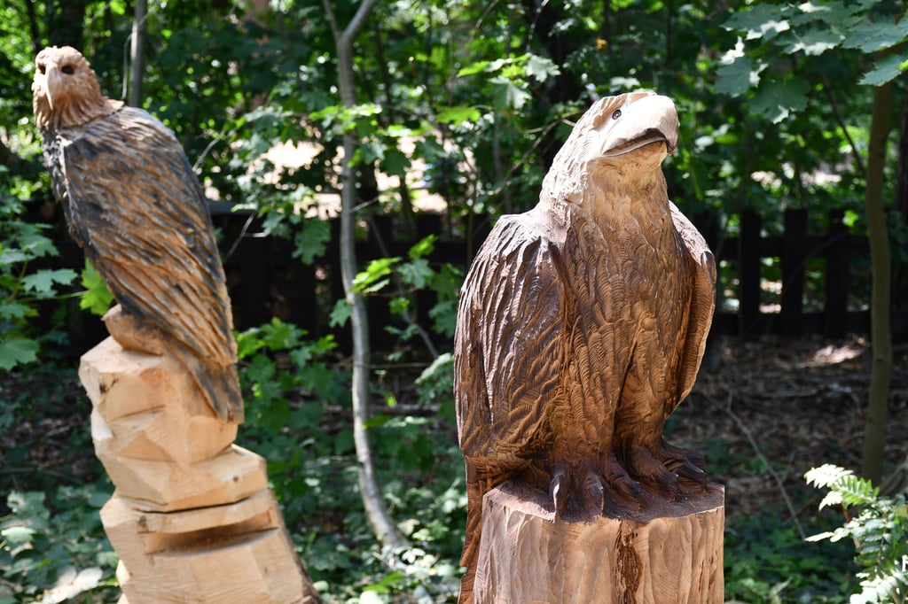 Ein Beispiel für die Schnitzkunst sind diese Adler, die am Arendseer Seeweg stehen.