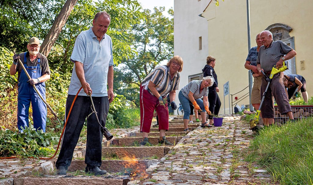Am Sonnabend wurde die Zuwegung zur Menzer St.-Paulus-Kirche vom Unkraut befreit.