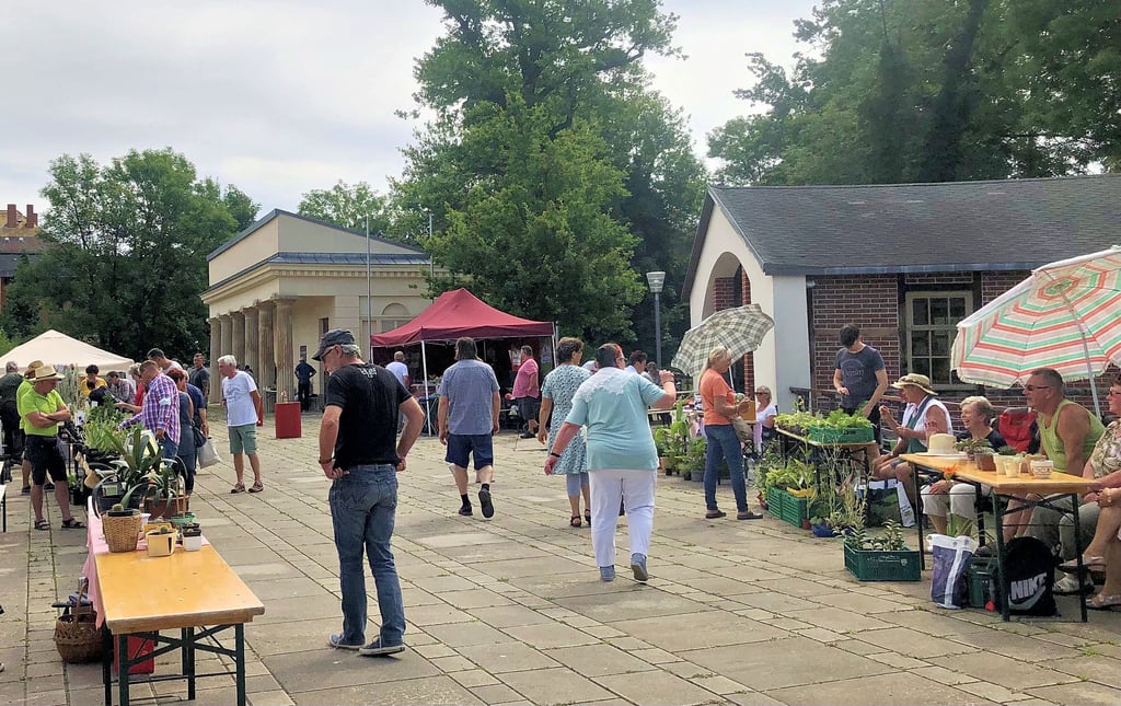 Besonders viele Besucher zog der Pflanzenflohmarkt an.