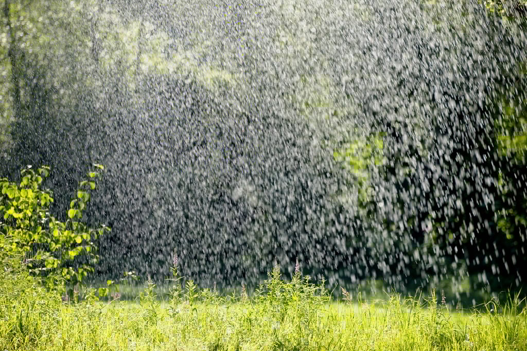 Der Deutsche Wetterdienst erwartet zum Wochenanfang Unwetter und Starkregen in Sachsen-Anhalt.