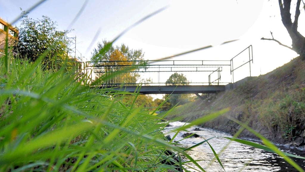 Im Ortskern vom Magdeburger Stadtteil Salbke gilt es bei einem Hochwasser den Übertritt der Sülze zu verhindern. Eine angedachte Spundwand wird nicht errichtet.
