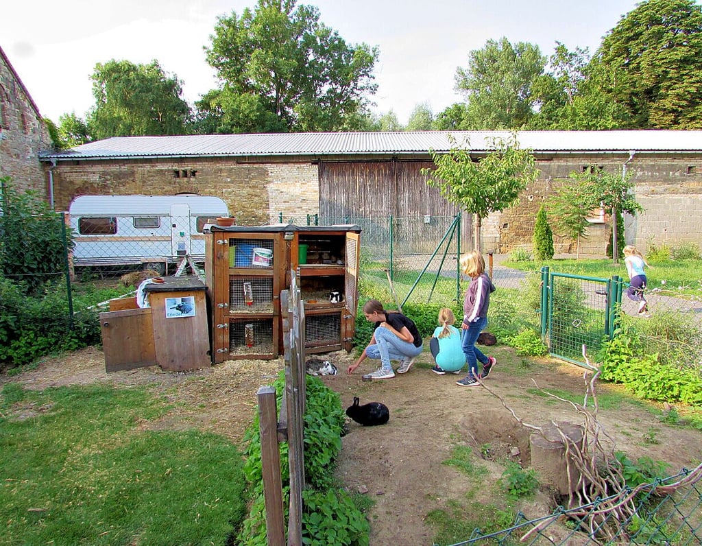 Blick auf den Kaninchenstall im Lindengarten - im Schatten des Schlosses