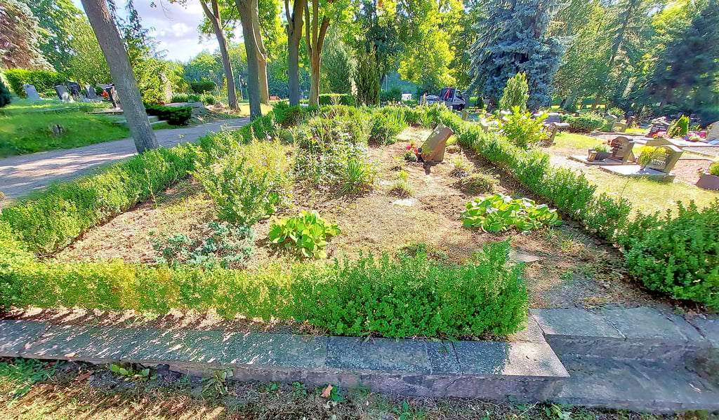 Auf dem sowjetischen Kriegsgräberstätte auf dem Friedhof Thale sollen bald alle bekannten Namen der 103 Soldaten zu lesen sein.