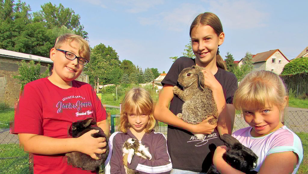 In der Naturwerkstatt kümmern sich die Kinder ums Gehege und Futter für die Tiere. Gerade die Kaninchen sind beliebt.
