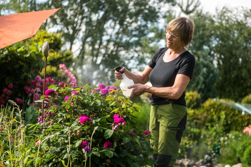 Pflanzenschutzmittel können bei wirklich warmen Sommertemperaturen zu schnell an den Pflanzen antrocknen - und dann nicht so stark wirken, wie man das erwartet.