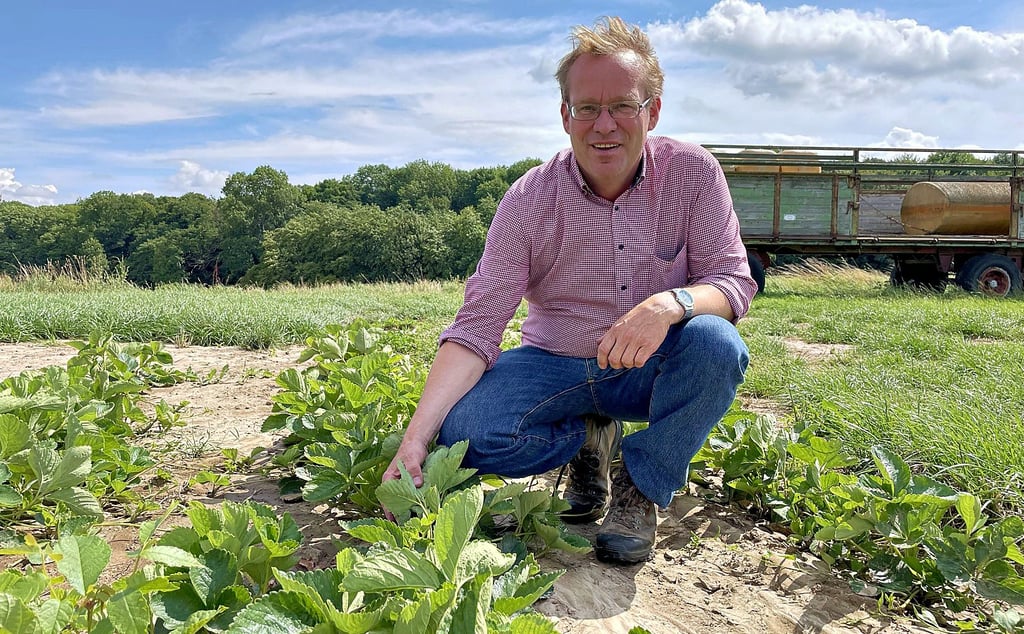 Robert Vorlop erläuterte für die Teilnehmer des Sommerabenteuers Wissenswertes über den Anbau, Ernte und Verwendung der süßen Früchte.