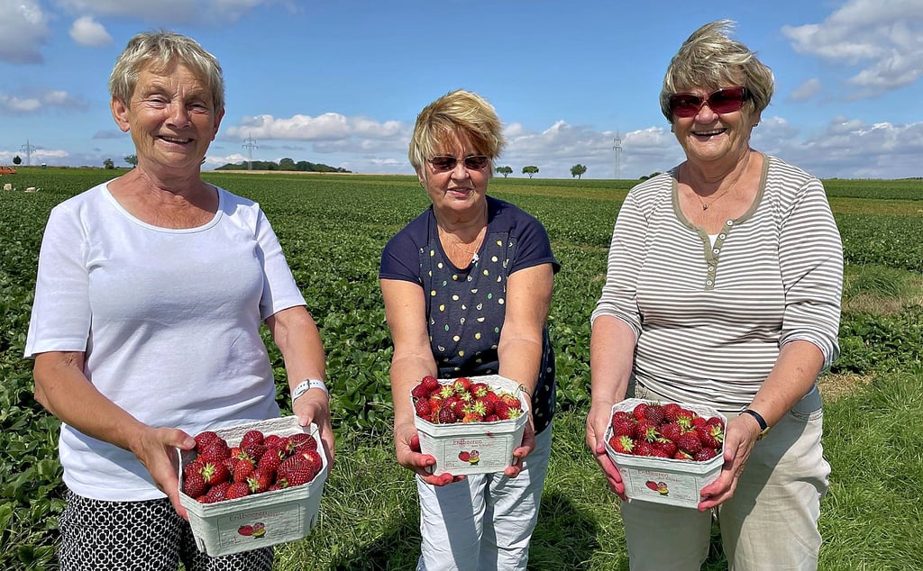 Doris Wonneberg (von links), Ingrid Menzel und Regina Langer freuen sich über ihre Ernte und über die Tipps für den Anbau im eigenen Garten.