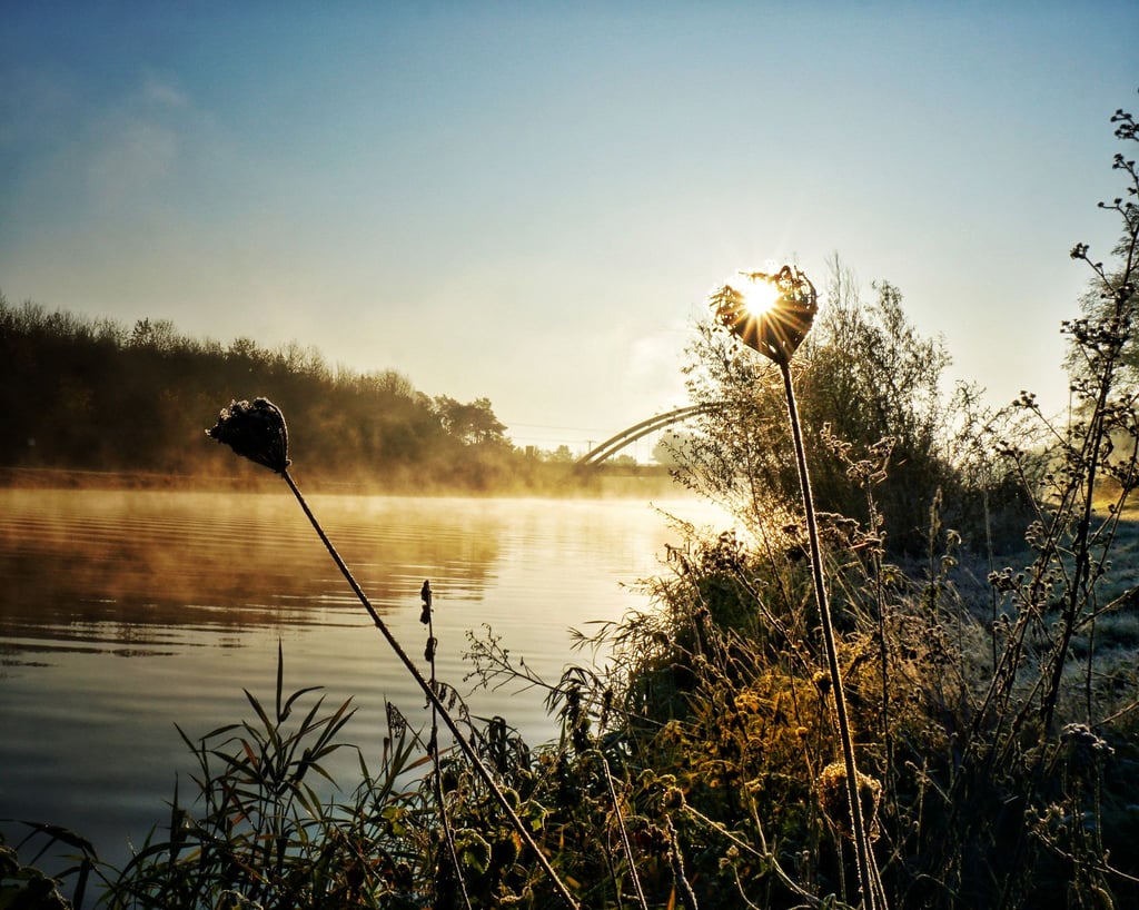 Sonnenaufgang am Mittellandkanal: Damit solche Momente auch in der Zukunft nicht der Vergangenheit angehören, engagiert sich Haldensleben stark für den Klimaschutz.