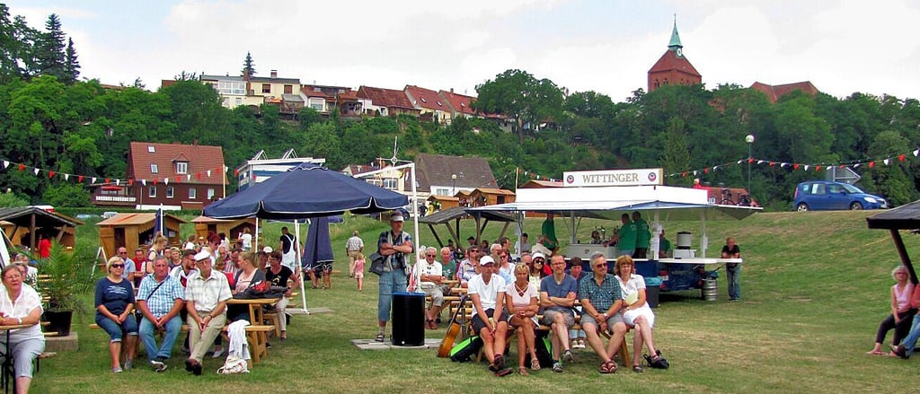 Hafenfest Arneburg: In vier Wochen soll diese Fläche neben dem Sportboothafen wieder zur Festwiese werden.
