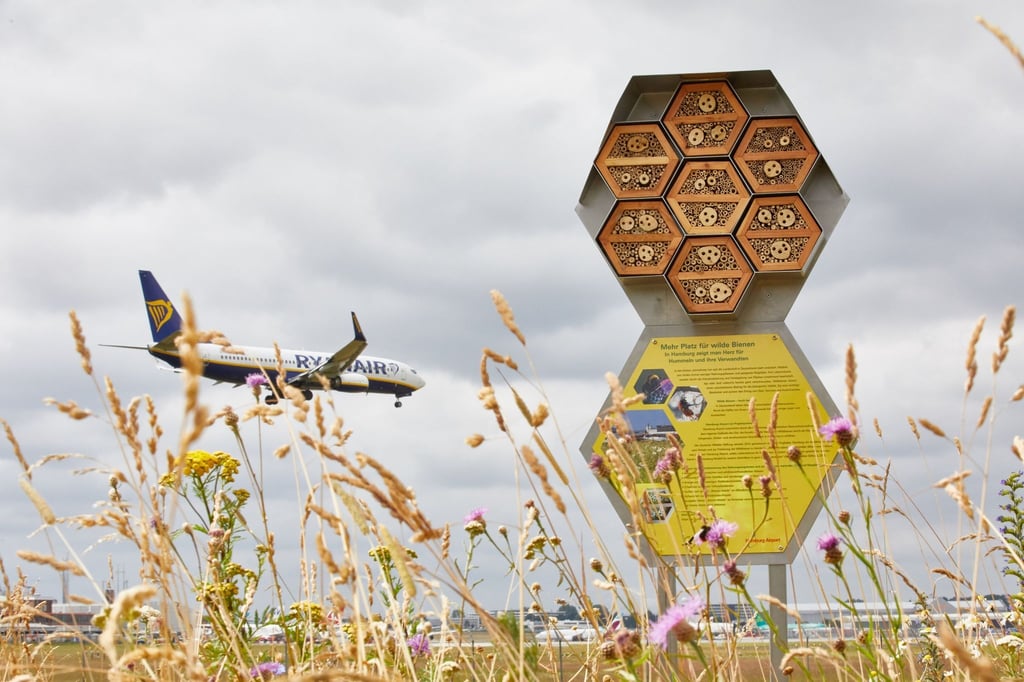Ein Insektenhotel für Wildbienen steht in der Nähe einer Start- und Landebahn.