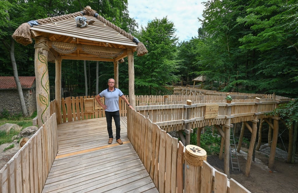 Bernd Hensch, Direktor vom Zoo Eberswalde, steht auf dem neuen hölzernen Erlebnispfad hoch über den Tiergehegen.