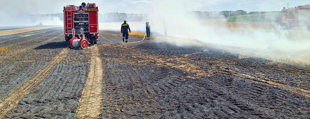 Zehn Hektar Stoppelacker und 0,2 Hektar Wald sind nun schwarz.