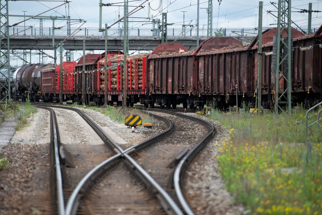 Ein Güterzug steht am Rangierbahnhof.