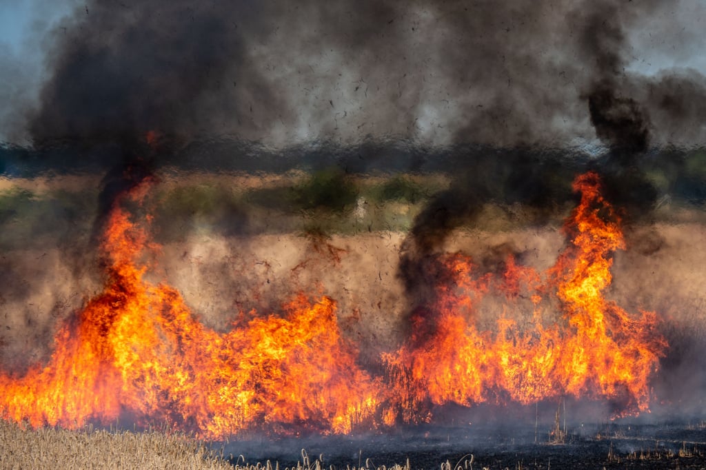 Der Brand konnte durch die Feuerwehr zügig gelöscht werden.