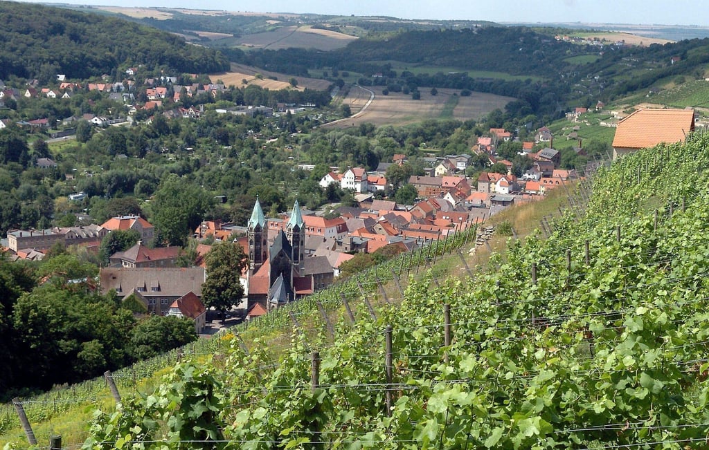 Weinberge unweit der Winzerstadt Freyburg im Unstrut-Tal (Burgenlandkreis). Hier werden auf 650 Hektar in Terrassenlage über 20 Sorten Wein angebaut.