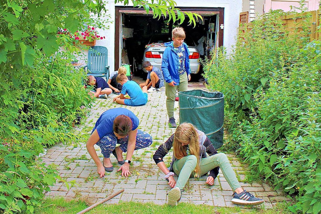 Hilfsprojekt der Badersleber Pfadfinder: Sogar zwischen den Steinen wurde das Unkraut entfernt.