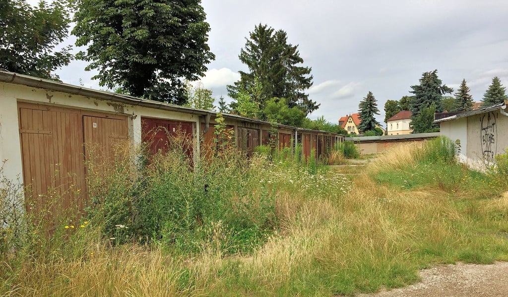 Das Unkraut steht mancherorts hoch auf dem Garagenhof in Lützen an der Promenade. Die Nutzer fragen: Warum handelt die Stadt nicht?