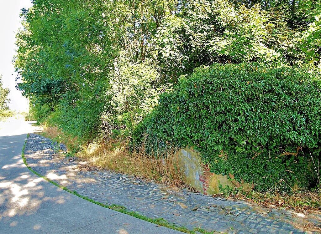 Vom ehemaligen Buchhorster Ortsteil Wolmirshorst ist nicht mehr viel geblieben. Die Bewohner verließen Ende der 1960er, Anfang der 1970er Jahre ihre grenznahen Höfe, die dann abgerissen wurden.