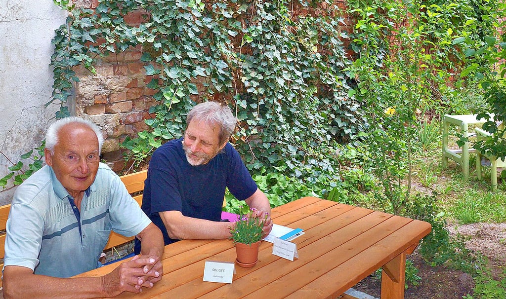 Günter Brennenstuhl und Martin Schulz (von links) von der Bürgerinitiative Pro Baum Salzwedel vor einer begrünten Wand im Hofcafé des Bioladens Natukola in der Breiten Straße.