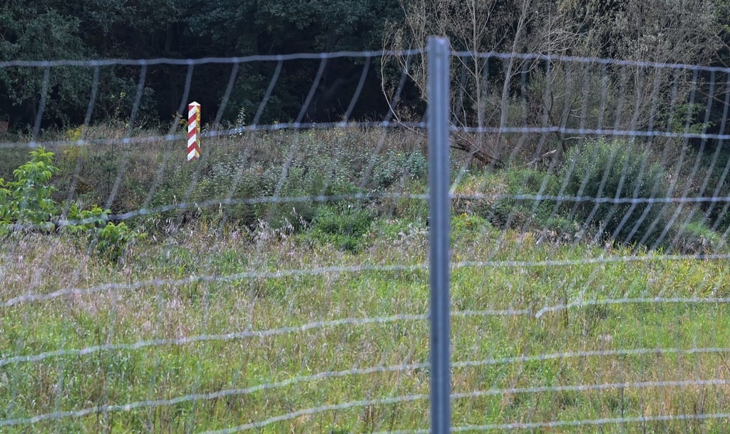 Ein Drahtzaun gegen die Afrikanische Schweinepest.