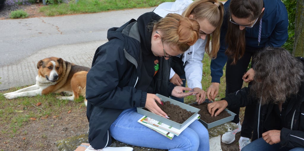 Was steckt in der Erde? Würmer? Feinwurzeln? Schülerinnen und Constanze Thomsen, Inhaberin des Düsedauer Landwirtschaftsbetriebs, bei der Basis-Untersuchung.