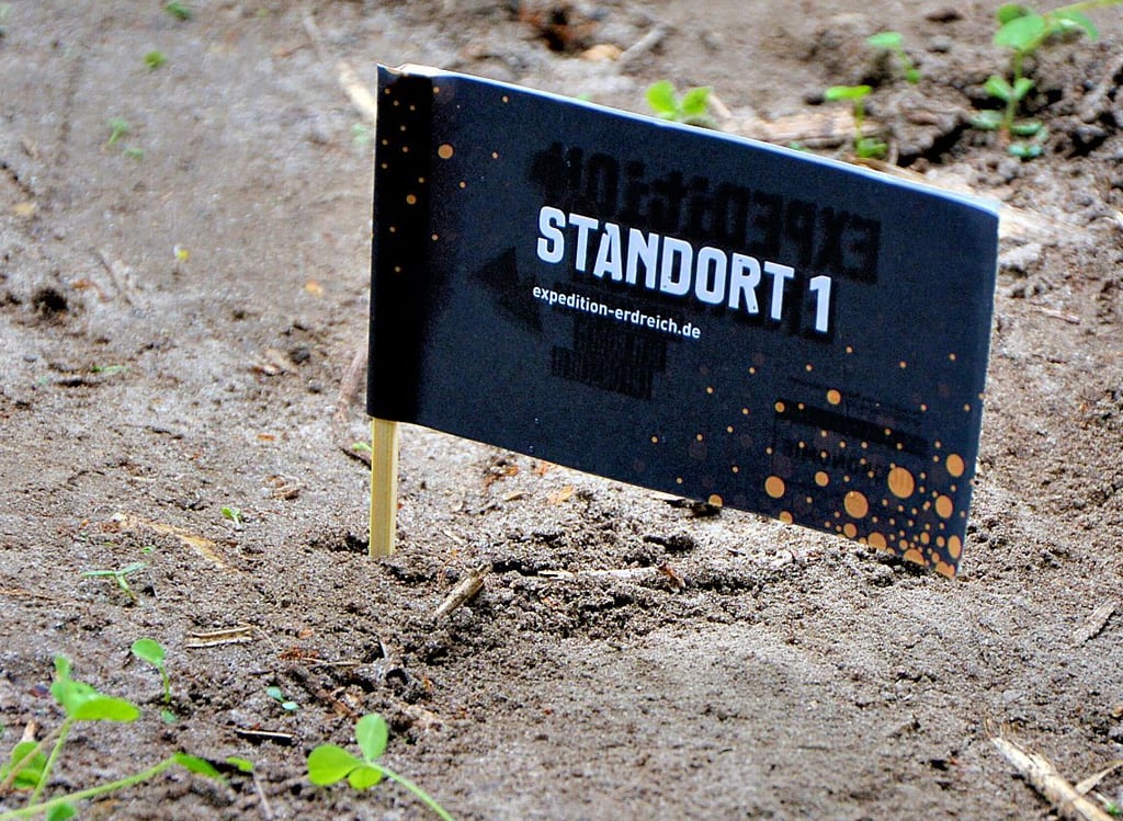 Rings um Standort 1 auf dem Kürbisacker versteckten die Schüler die ersten sechs Teebeutel, weitere sechs an Standort 2 auf der Blühwiese.