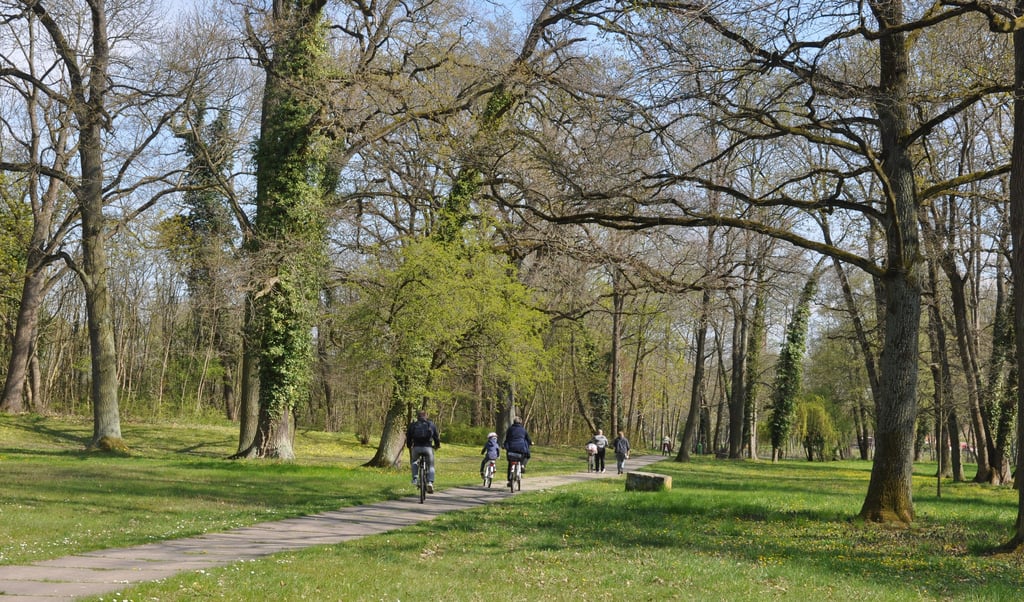 Viele Altenplathower möchten, dass der Volkspark im Großen und Ganzen bleibt wie er ist.