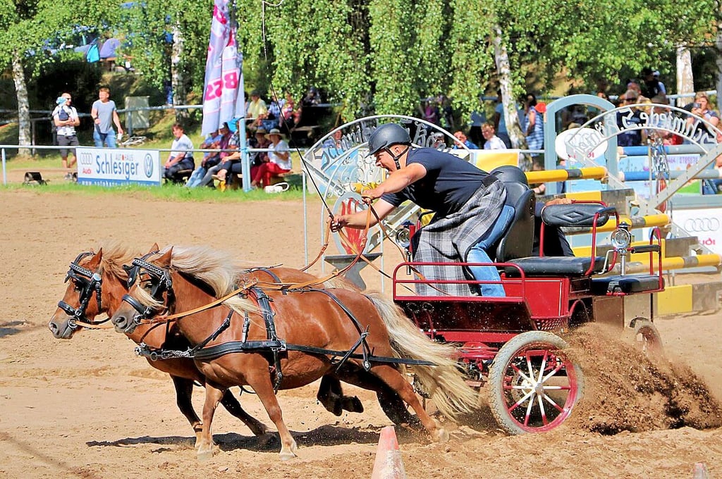 Die rasanten Kutschfahrten soll es im August geben.