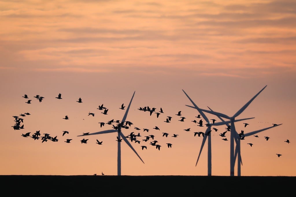 Energiewende: Die EU-Kommission will dafür sorgen, dass Konsumenten und Anleger mehr Geld in nachhaltige Güter und Projekte investieren.
